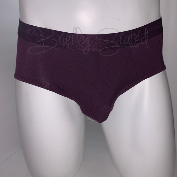 David Archy Micro Modal Briefs - Wine (L) - Picture 6 of 7